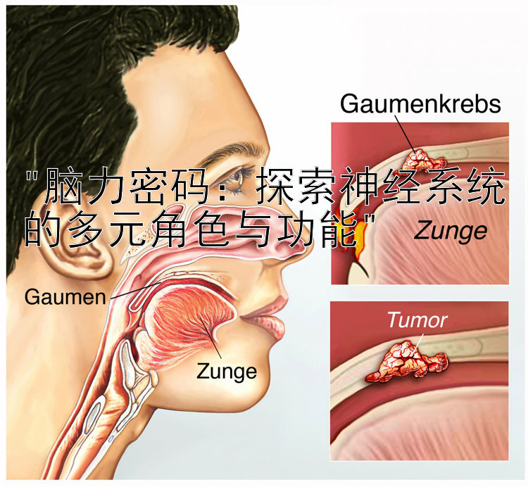 脑力密码：探索神经系统的多元角色与功能