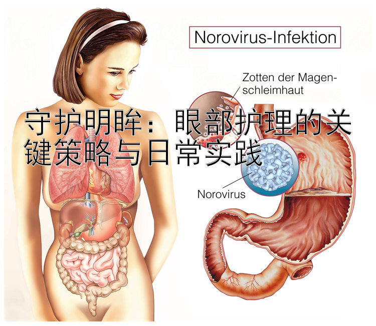 守护明眸：眼部护理的关键策略与日常实践