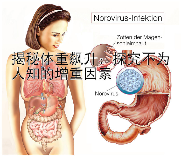 揭秘体重飙升：探究不为人知的增重因素