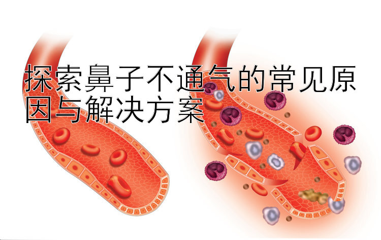 探索鼻子不通气的常见原因与解决方案