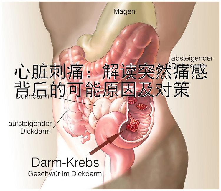 心脏刺痛：解读突然痛感背后的可能原因及对策