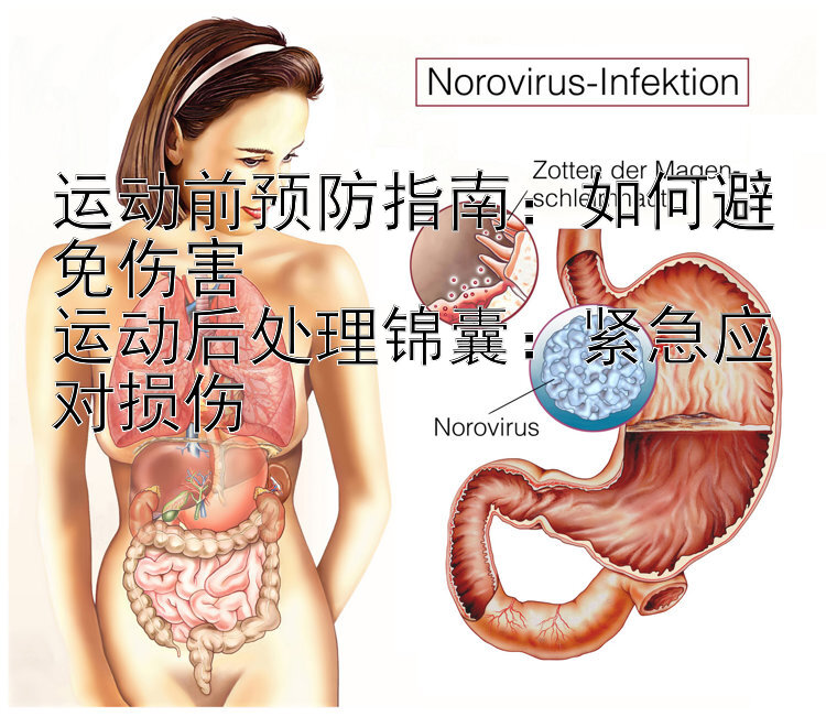 运动前预防指南：如何避免伤害
运动后处理锦囊：紧急应对损伤