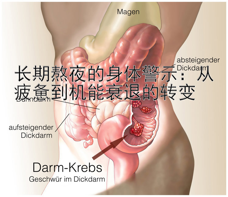 长期熬夜的身体警示：从疲惫到机能衰退的转变