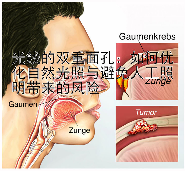 光线的双重面孔：如何优化自然光照与避免人工照明带来的风险