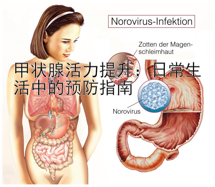 甲状腺活力提升：日常生活中的预防指南