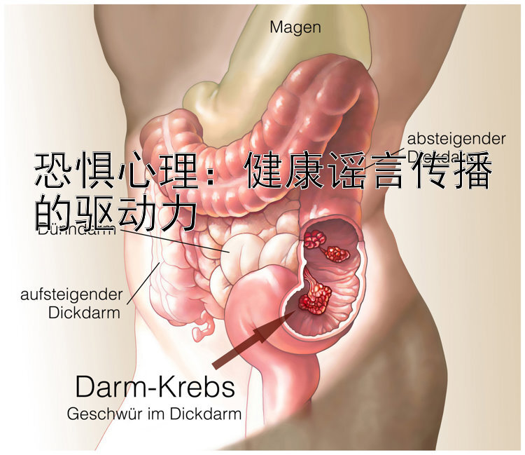 恐惧心理：健康谣言传播的驱动力