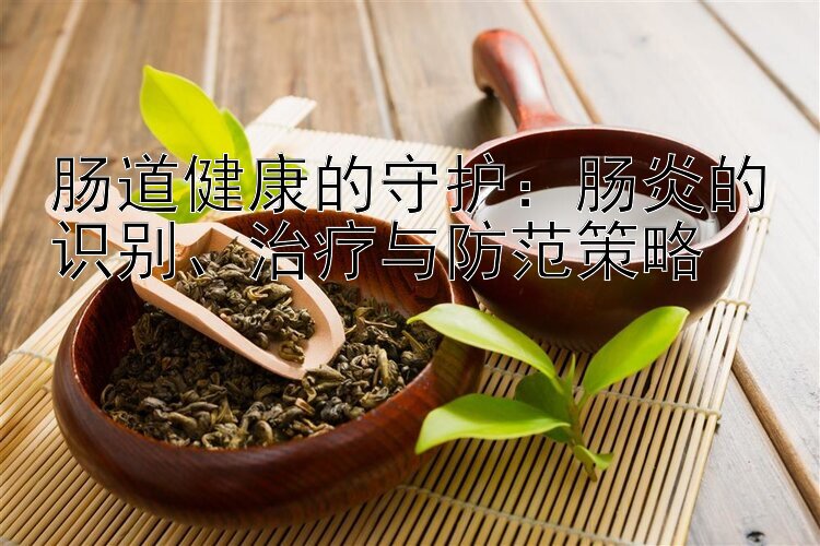 肠道健康的守护：肠炎的识别、治疗与防范策略