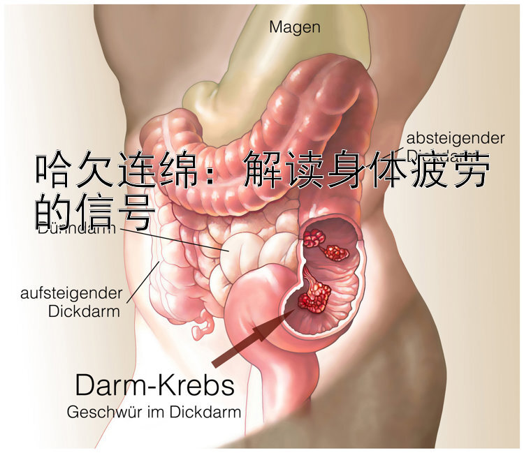 哈欠连绵：解读身体疲劳的信号