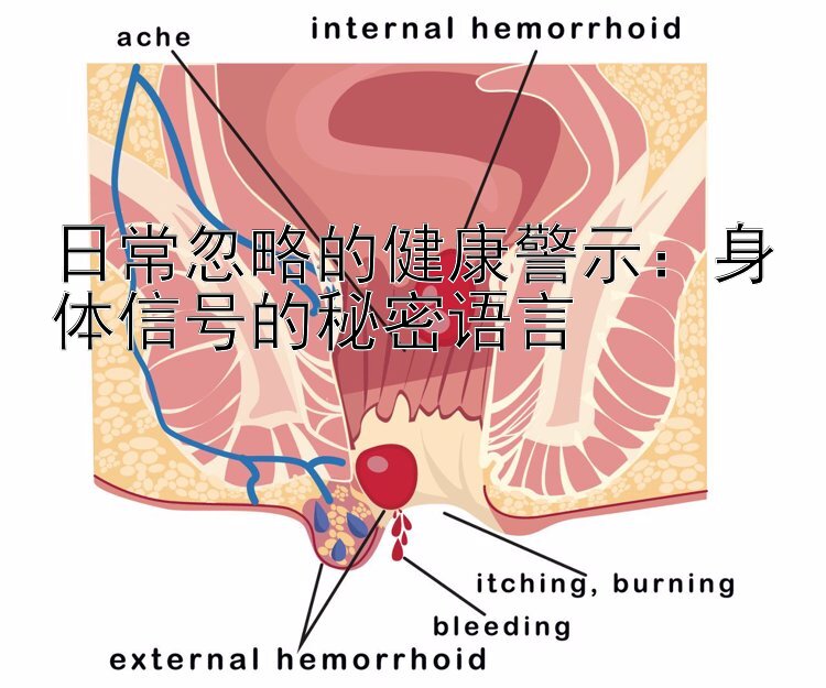 日常忽略的健康警示：身体信号的秘密语言