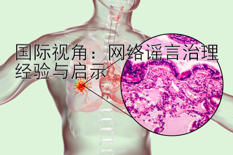 国际视角：网络谣言治理经验与启示