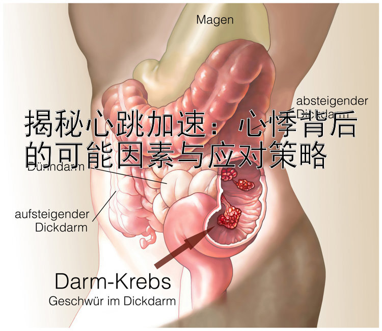 揭秘心跳加速：心悸背后的可能因素与应对策略