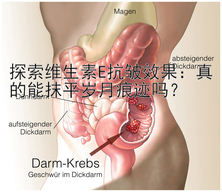 探索维生素E抗皱效果：真的能抹平岁月痕迹吗？