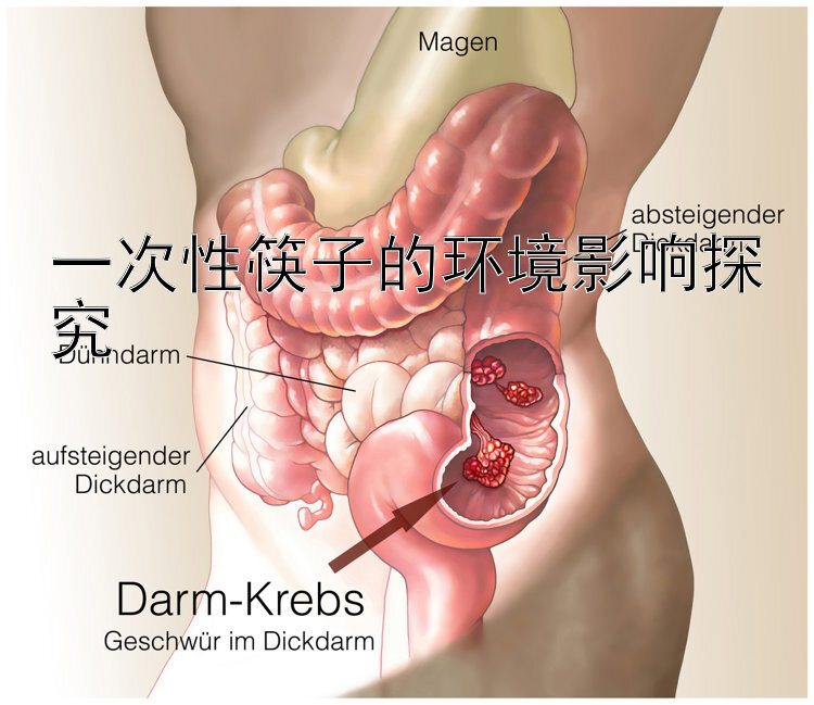 一次性筷子的环境影响探究