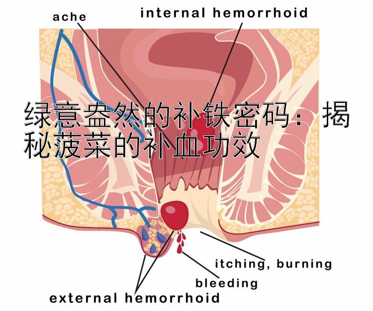 绿意盎然的补铁密码：揭秘菠菜的补血功效