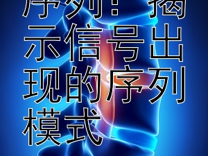 解码时间序列：揭示信号出现的序列模式