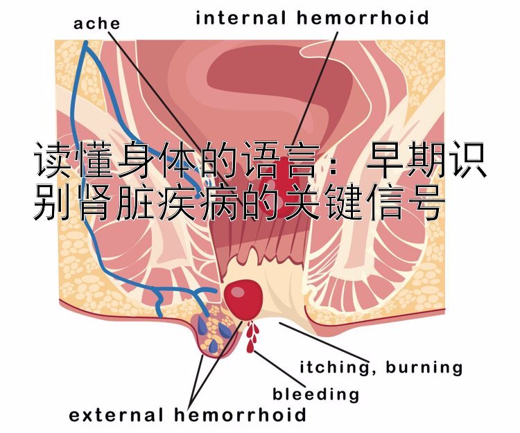 读懂身体的语言：早期识别肾脏疾病的关键信号