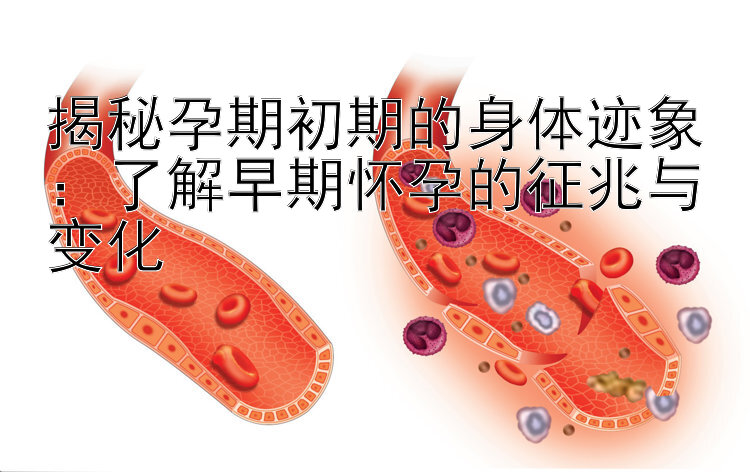 揭秘孕期初期的身体迹象：了解早期怀孕的征兆与变化