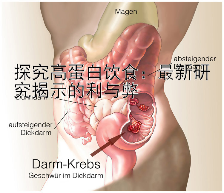 探究高蛋白饮食：最新研究揭示的利与弊