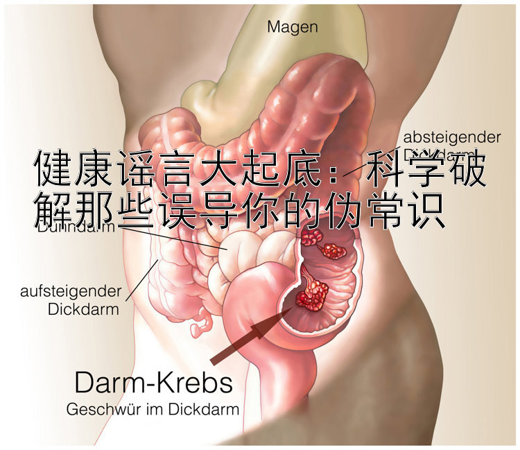 健康谣言大起底：科学破解那些误导你的伪常识