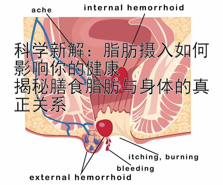 科学新解：脂肪摄入如何影响你的健康  
揭秘膳食脂肪与身体的真正关系