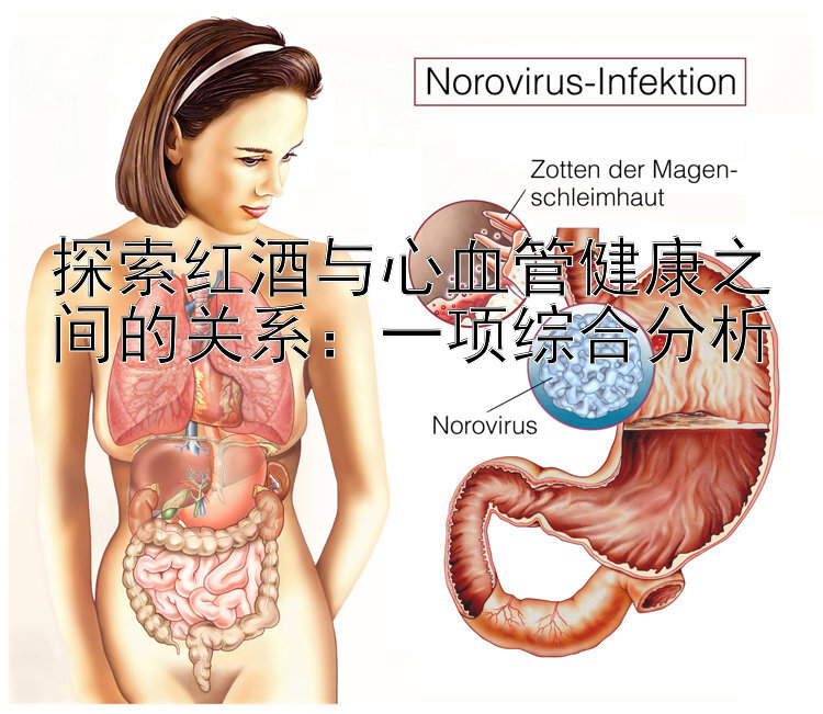 探索红酒与心血管健康之间的关系：一项综合分析