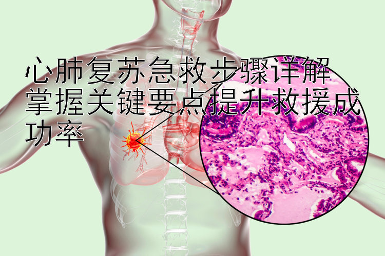 心肺复苏急救步骤详解  
掌握关键要点提升救援成功率