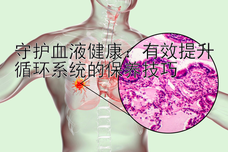 守护血液健康：有效提升循环系统的保养技巧