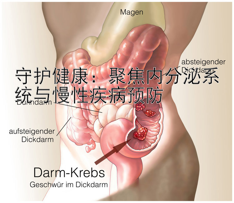 守护健康：聚焦内分泌系统与慢性疾病预防