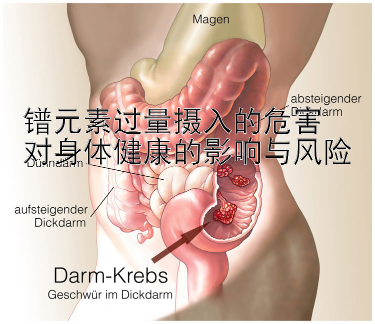 镨元素过量摄入的危害  
对身体健康的影响与风险