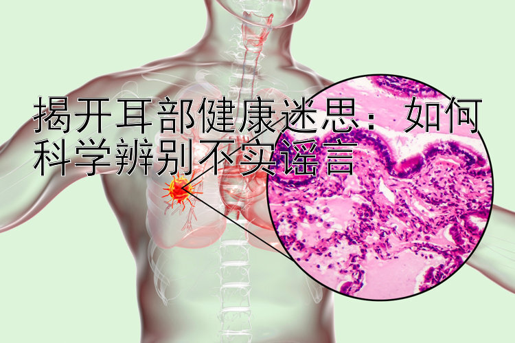 揭开耳部健康迷思：如何科学辨别不实谣言